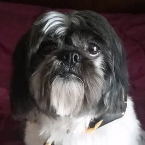 Meet your Posher, Sandra